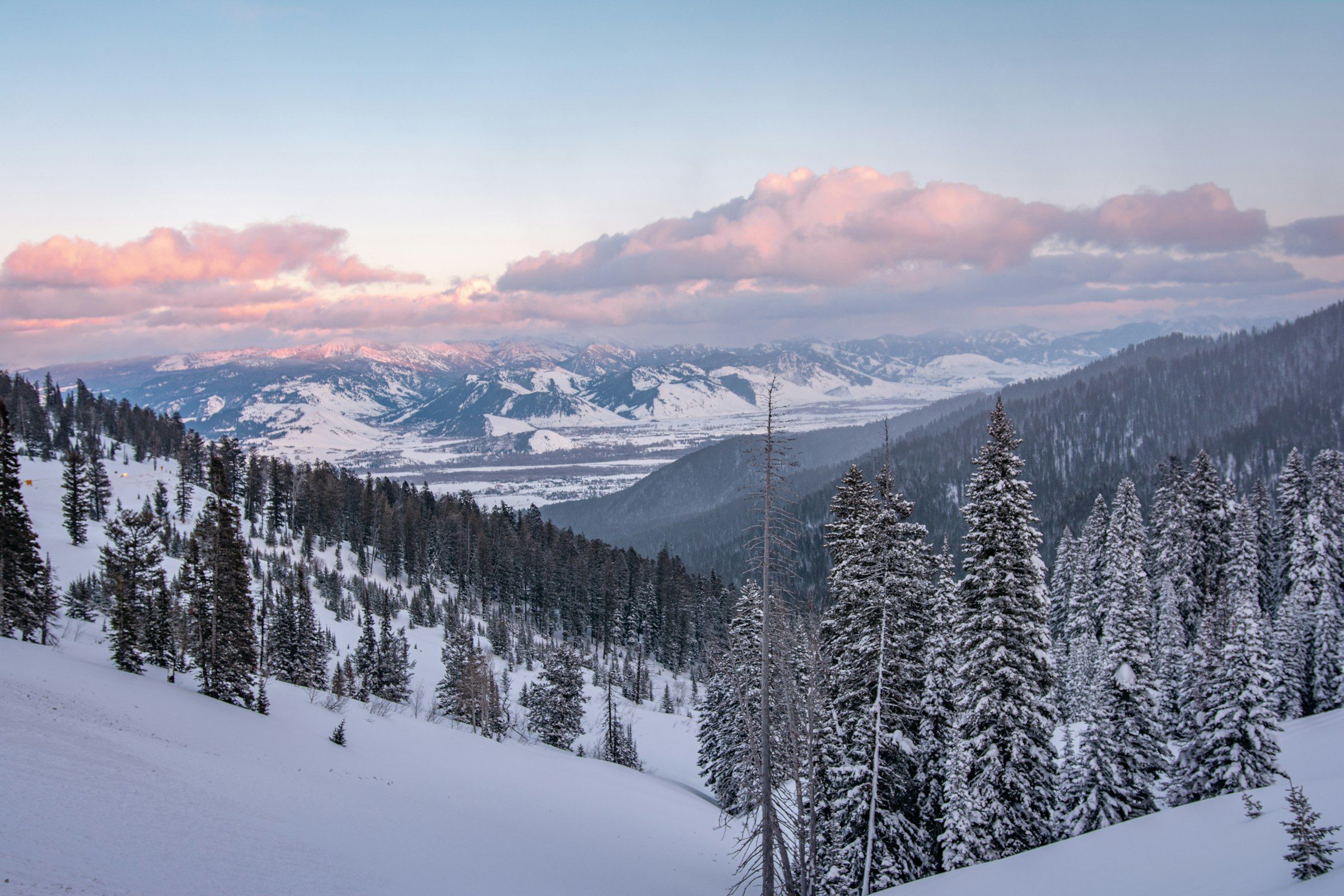 Snow-covered mountain valley with pine forest