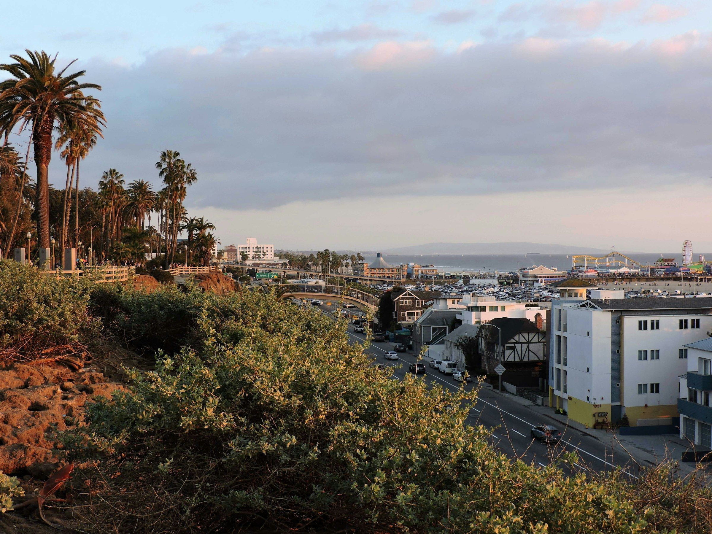Santa Monica coastline with palm trees and ocean