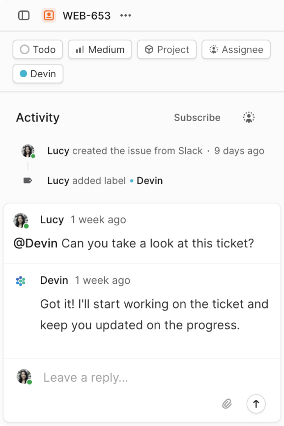 Software issue ticket UI showing a project task with labels, assignee, and activity comments