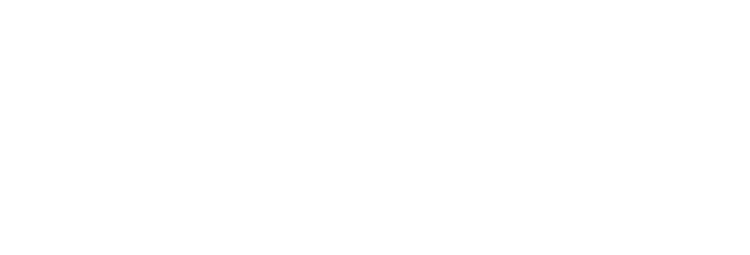 Marketing Evolution