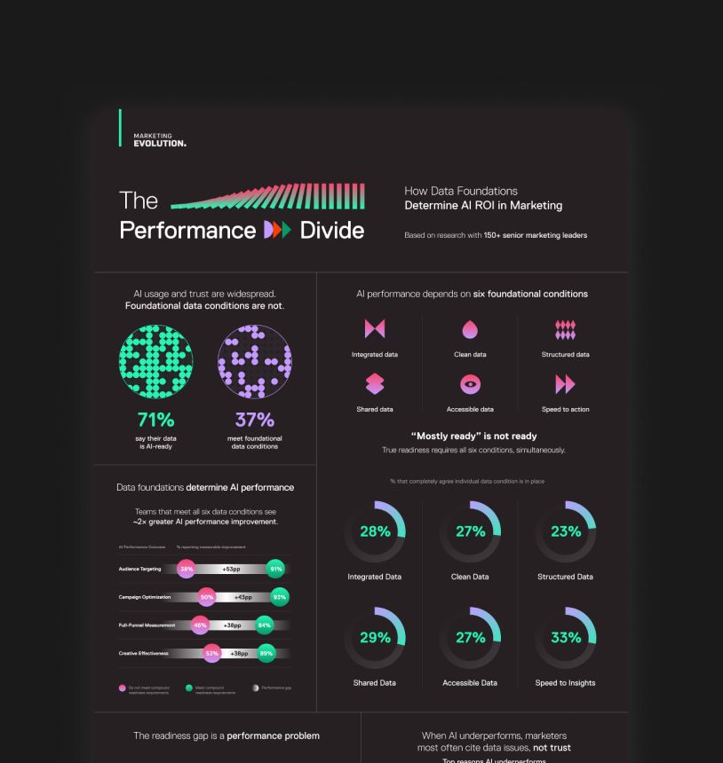 The Performance Divide data visualization
