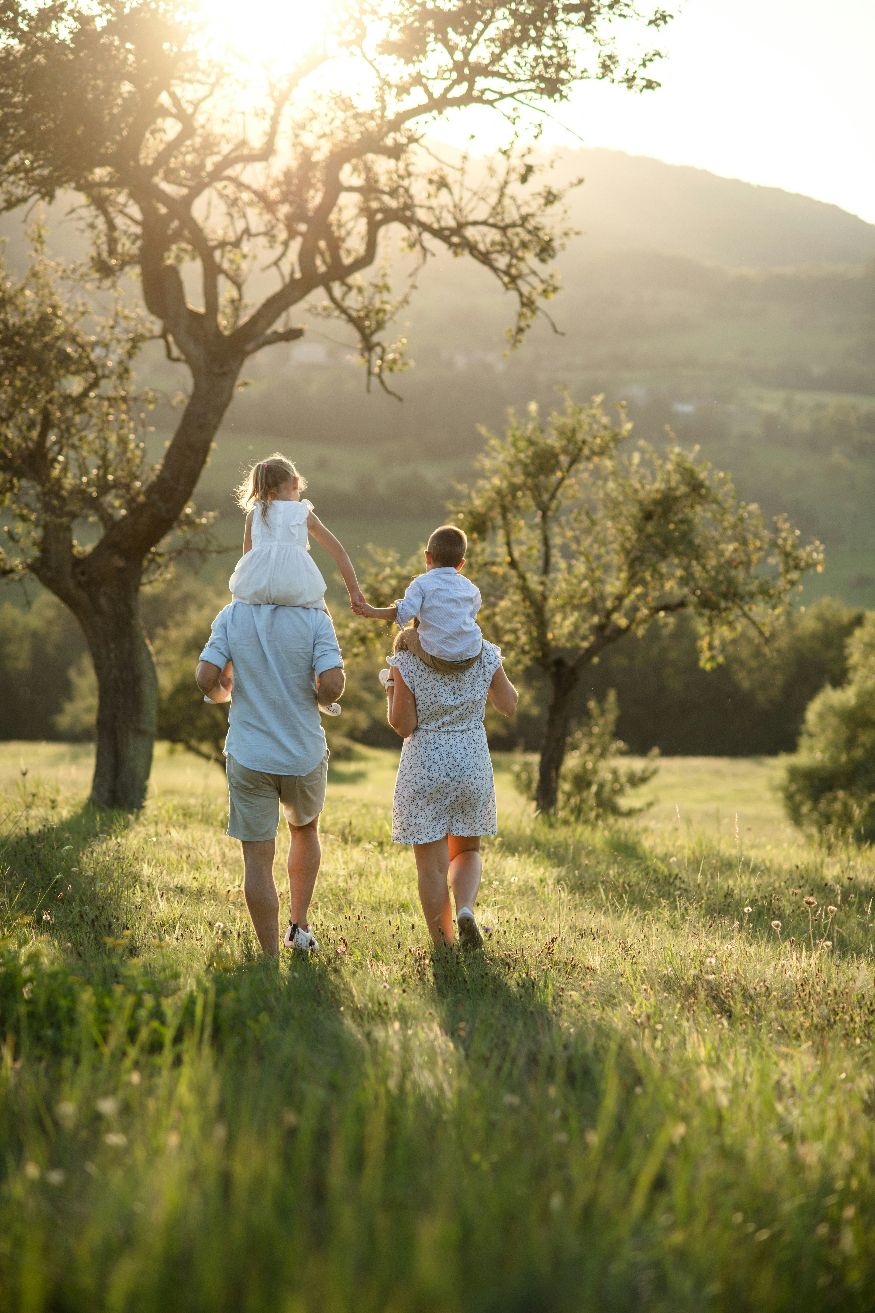 Family walking through a sunlit meadow