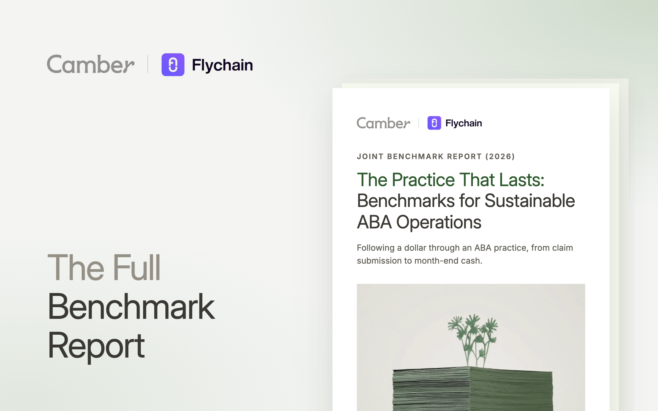The Practice That Lasts: Benchmarks for Sustainable ABA Operations