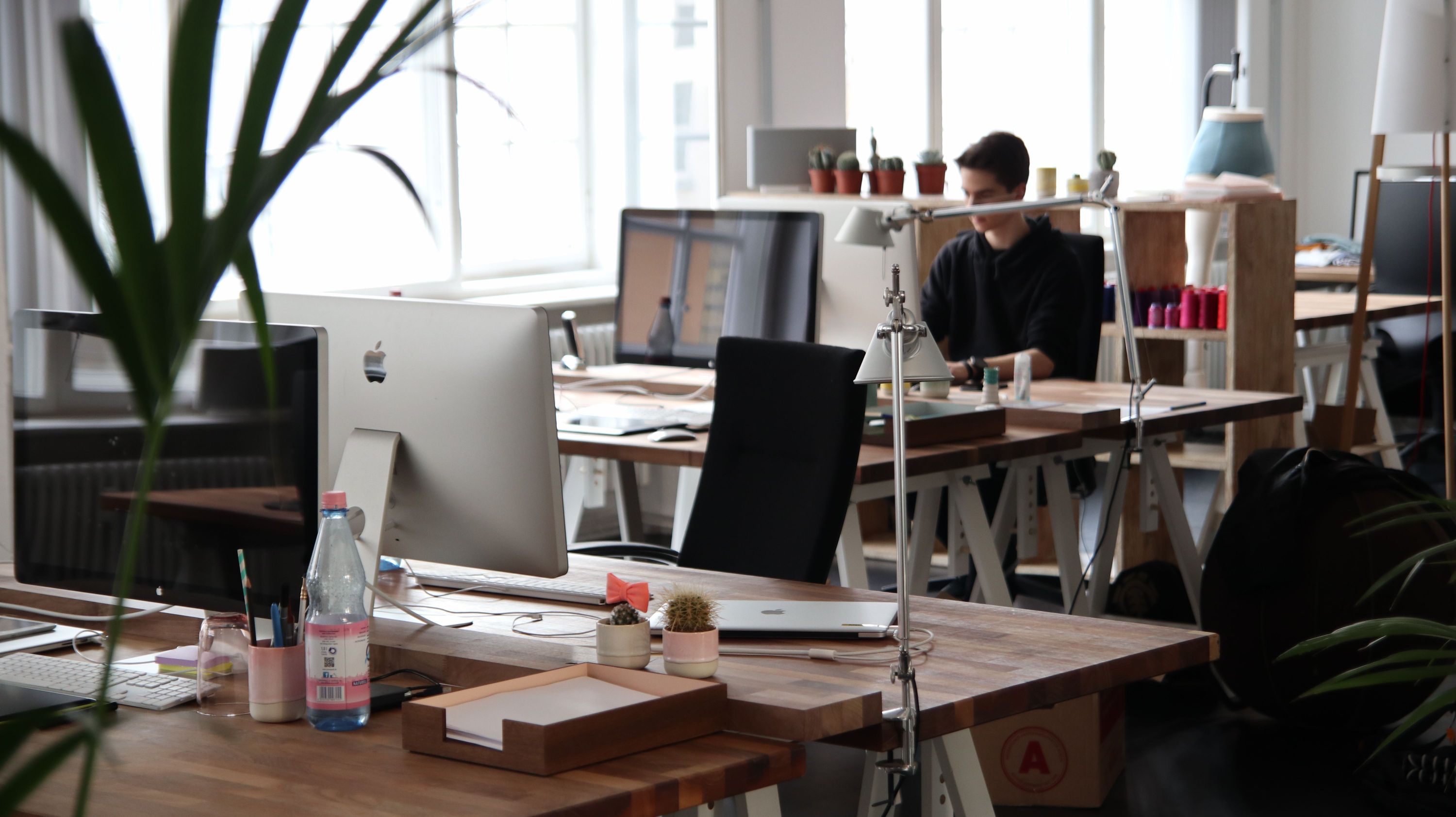 Designer working at a desk in a bright creative studio with computers and plants
